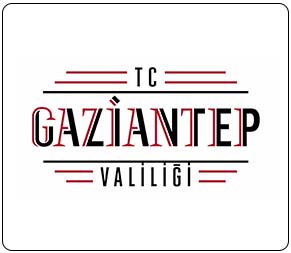 inDizayner