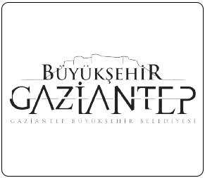 inDizayner