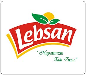 inDizayner