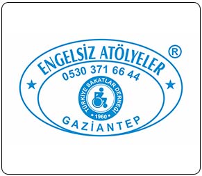 inDizayner